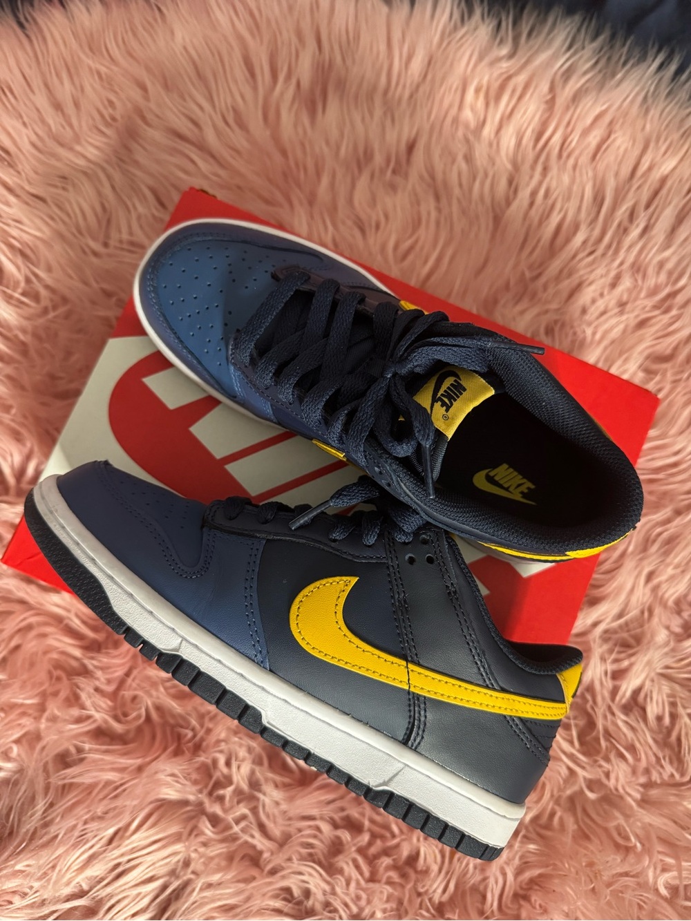 Nike Men’s Dunk Low - Navy and Yellow